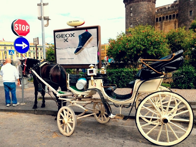 Luigi Fiore, Carrozzella, Napoli