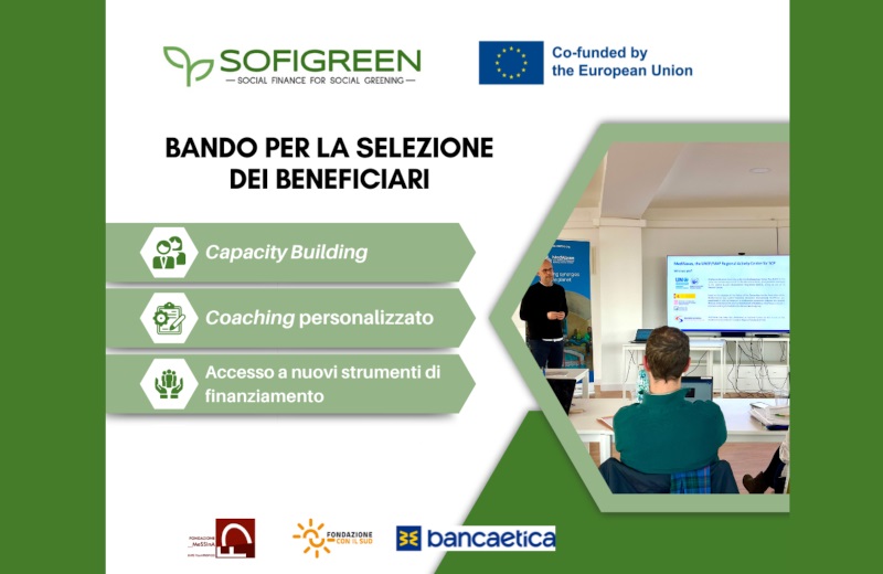 BANDO “SOFIGREEN”