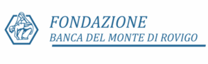 Fondazione bm rovigo